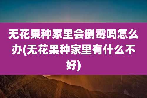 无花果种家里会倒霉吗怎么办(无花果种家里有什么不好)