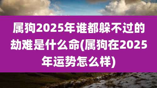属狗2025年谁都躲不过的劫难是什么命(属狗在2025年运势怎么样)