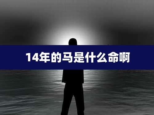 14年的马是什么命啊