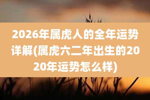 2026年属虎人的全年运势详解(属虎六二年出生的2020年运势怎么样)