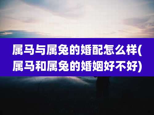属马与属兔的婚配怎么样(属马和属兔的婚姻好不好)