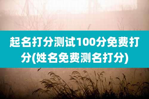 起名打分测试100分免费打分(姓名免费测名打分)