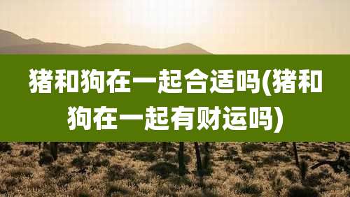 猪和狗在一起合适吗(猪和狗在一起有财运吗)