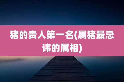 猪的贵人第一名(属猪最忌讳的属相)
