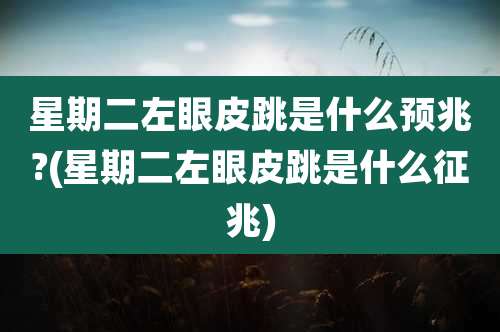 星期二左眼皮跳是什么预兆?(星期二左眼皮跳是什么征兆)