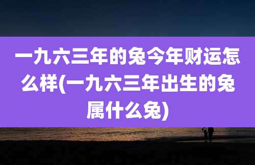一九六三年的兔今年财运怎么样(一九六三年出生的兔属什么兔)