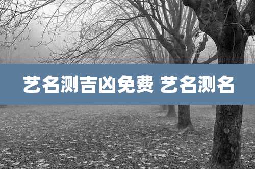 艺名测吉凶免费 艺名测名