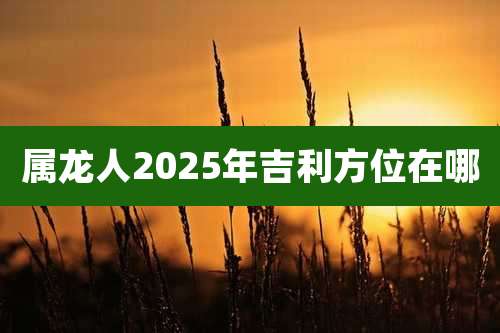 属龙人2025年吉利方位在哪