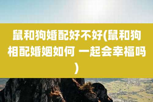 鼠和狗婚配好不好(鼠和狗相配婚姻如何 一起会幸福吗)