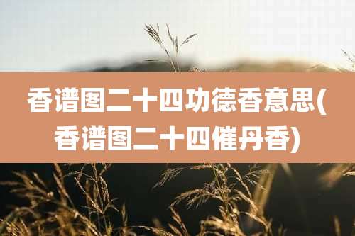 香谱图二十四功德香意思(香谱图二十四催丹香)