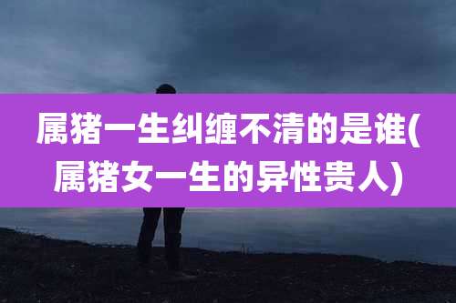 属猪一生纠缠不清的是谁(属猪女一生的异性贵人)