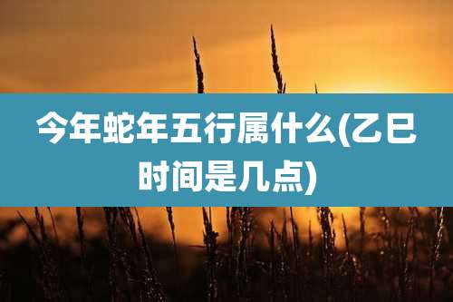今年蛇年五行属什么(乙巳时间是几点)