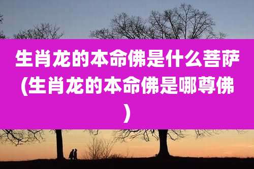 生肖龙的本命佛是什么菩萨(生肖龙的本命佛是哪尊佛)