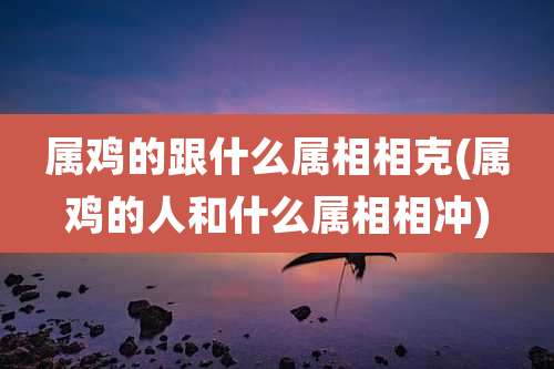 属鸡的跟什么属相相克(属鸡的人和什么属相相冲)