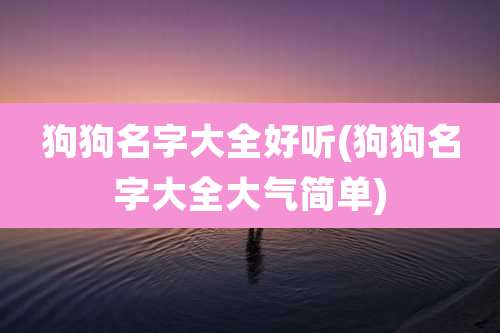 狗狗名字大全好听(狗狗名字大全大气简单)