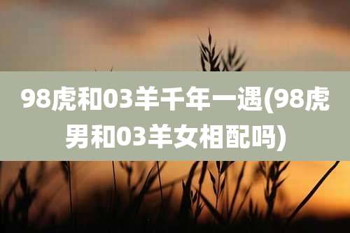 98虎和03羊千年一遇(98虎男和03羊女相配吗)