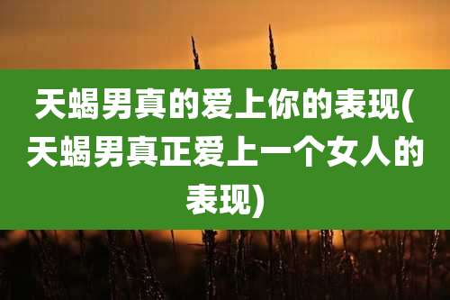 天蝎男真的爱上你的表现(天蝎男真正爱上一个女人的表现)