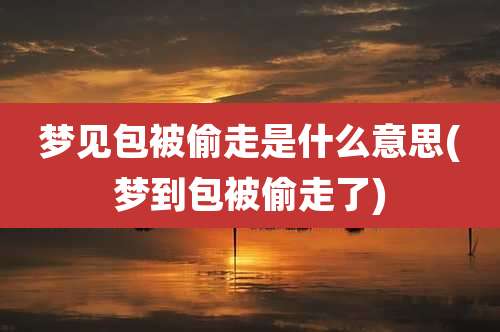 梦见包被偷走是什么意思(梦到包被偷走了)