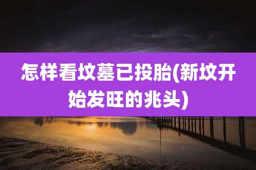 怎样看坟墓已投胎(新坟开始发旺的兆头)