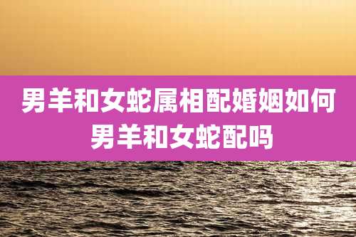 男羊和女蛇属相配婚姻如何 男羊和女蛇配吗