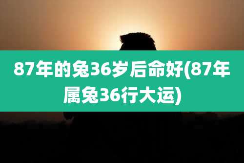 87年的兔36岁后命好(87年属兔36行大运)