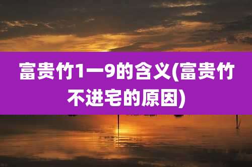 富贵竹1一9的含义(富贵竹不进宅的原因)