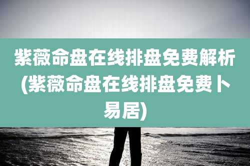 紫薇命盘在线排盘免费解析(紫薇命盘在线排盘免费卜易居)