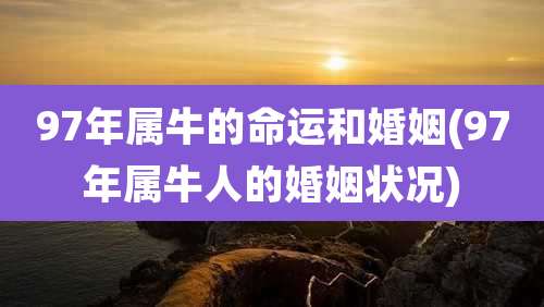 97年属牛的命运和婚姻(97年属牛人的婚姻状况)