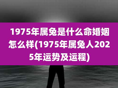1975年属兔是什么命婚姻怎么样(1975年属兔人2025年运势及运程)