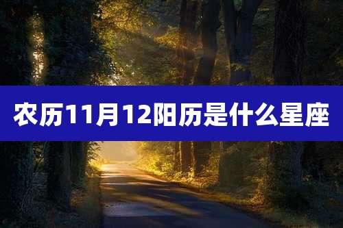 农历11月12阳历是什么星座