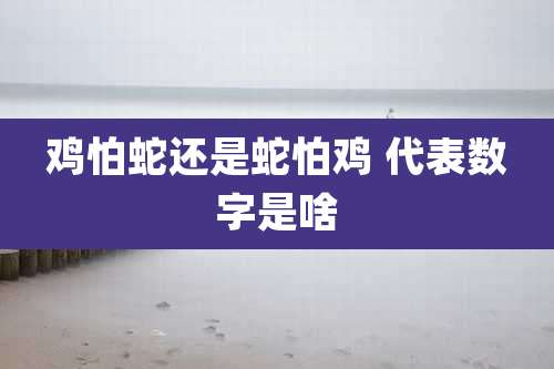鸡怕蛇还是蛇怕鸡 代表数字是啥