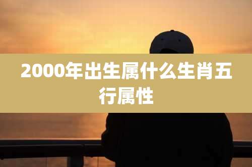 2000年出生属什么生肖五行属性