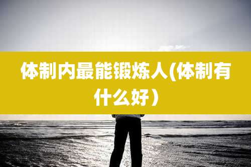 体制内最能锻炼人(体制有什么好)