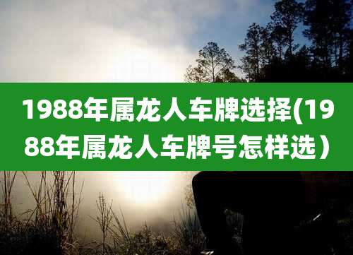 1988年属龙人车牌选择(1988年属龙人车牌号怎样选)