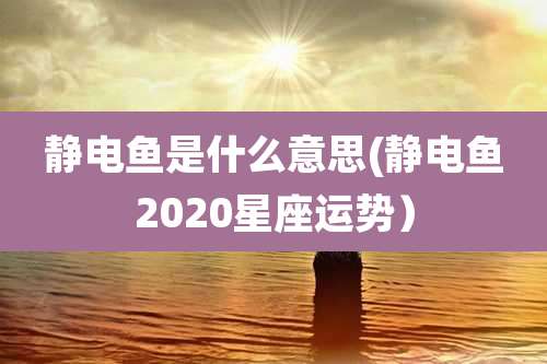 静电鱼是什么意思(静电鱼2020星座运势)