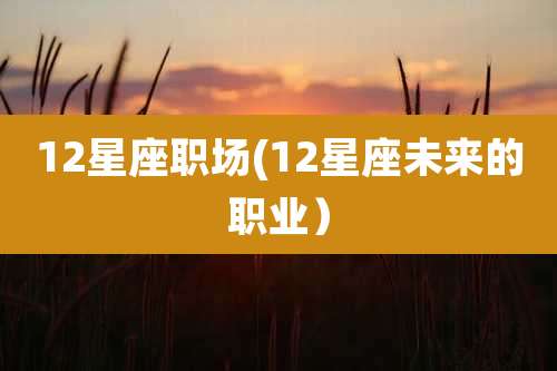 12星座职场(12星座未来的职业）