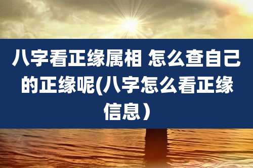 八字看正缘属相 怎么查自己的正缘呢(八字怎么看正缘信息)