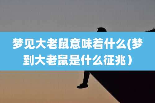 梦见大老鼠意味着什么(梦到大老鼠是什么征兆)