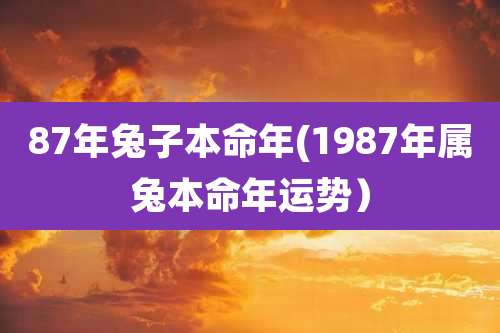 87年兔子本命年(1987年属兔本命年运势)