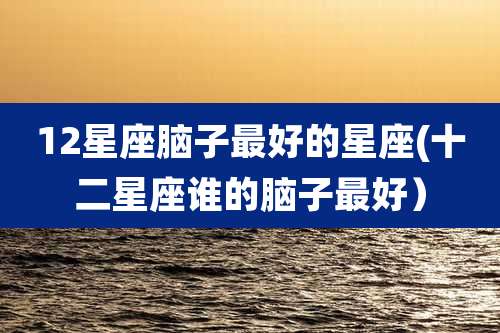 12星座脑子最好的星座(十二星座谁的脑子最好）