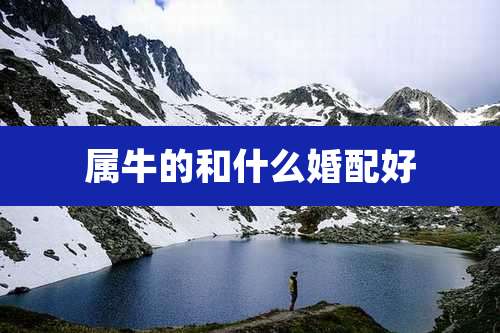 属牛的和什么婚配好