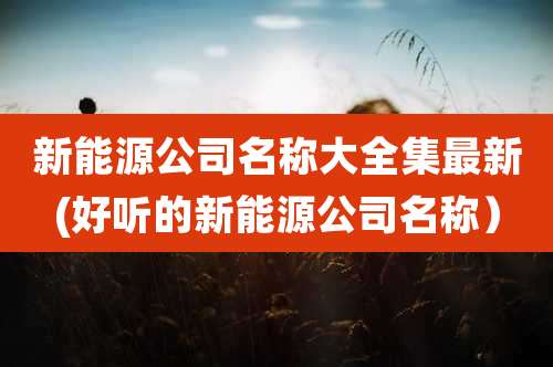新能源公司名称大全集最新(好听的新能源公司名称)