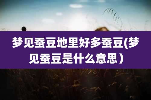 梦见蚕豆地里好多蚕豆(梦见蚕豆是什么意思)