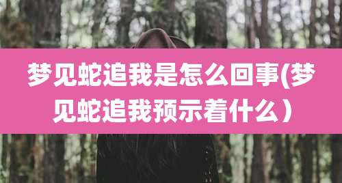 梦见蛇追我是怎么回事(梦见蛇追我预示着什么)