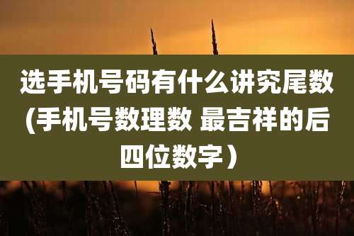 选手机号码有什么讲究尾数(手机号数理数 最吉祥的后四位数字)