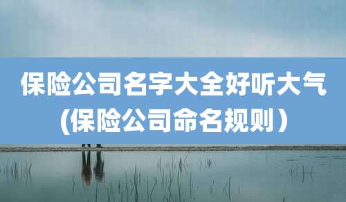 保险公司名字大全好听大气(保险公司命名规则）