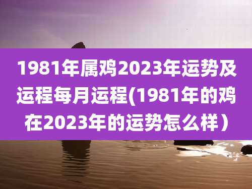 1981年属鸡2023年运势及运程每月运程(1981年的鸡在2023年的运势怎么样）