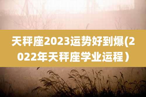 天秤座2023运势好到爆(2022年天秤座学业运程）