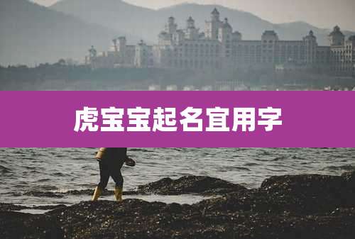 虎宝宝起名宜用字