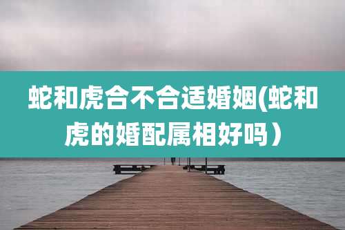 蛇和虎合不合适婚姻(蛇和虎的婚配属相好吗）
